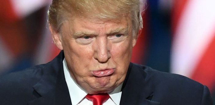 DEVELOPING: Ex Jeb Bush Aide Shatters Trump's Fragile Male Ego Into a Million Tiny Pieces